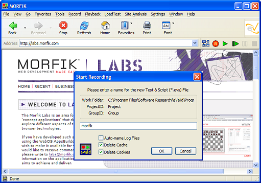 Screen Shot for Morfik Example